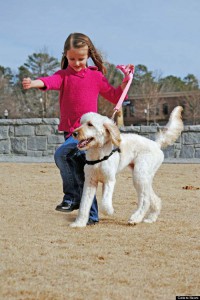 Photos Une Petite Fille Sauv E Par Une Chienne Gr Ce Son Odorat