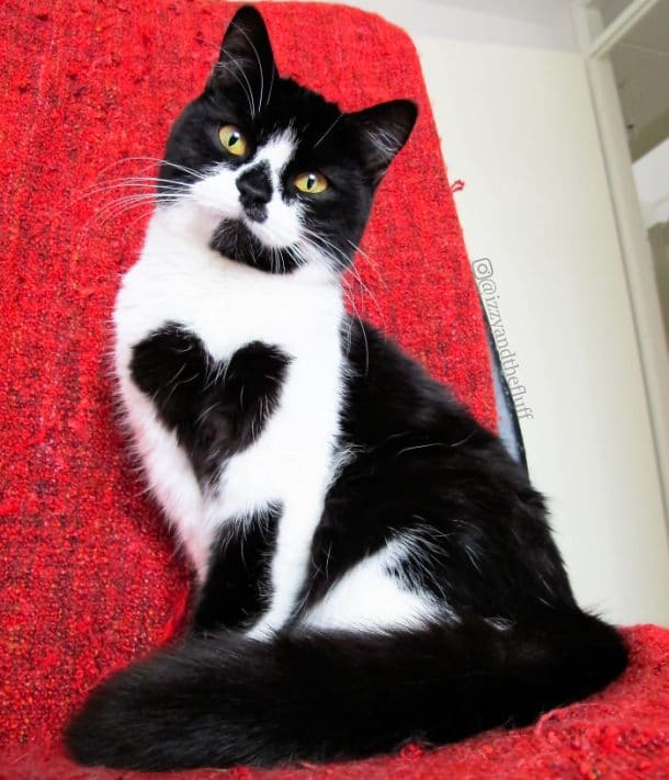 site de rencontre croque coeur