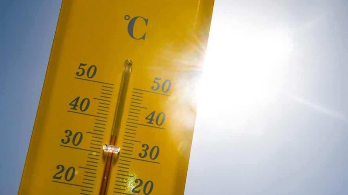 En pleine canicule elle part faire ses courses mais dans la voiture&hellip;