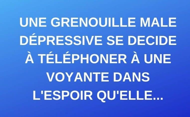 Blague du jour Une grenouille mâle dépressive se décide à téléphoner