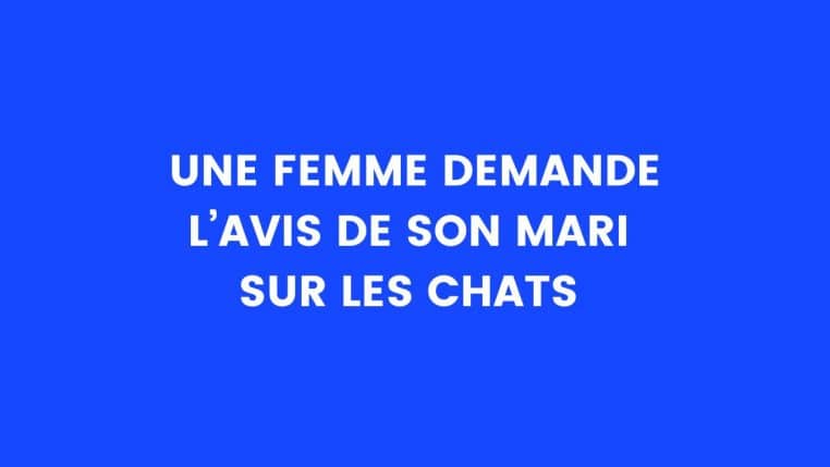 Blague Du Jour Une Femme Est Au Lit Avec Son Amant Et Re Oit Un Sms