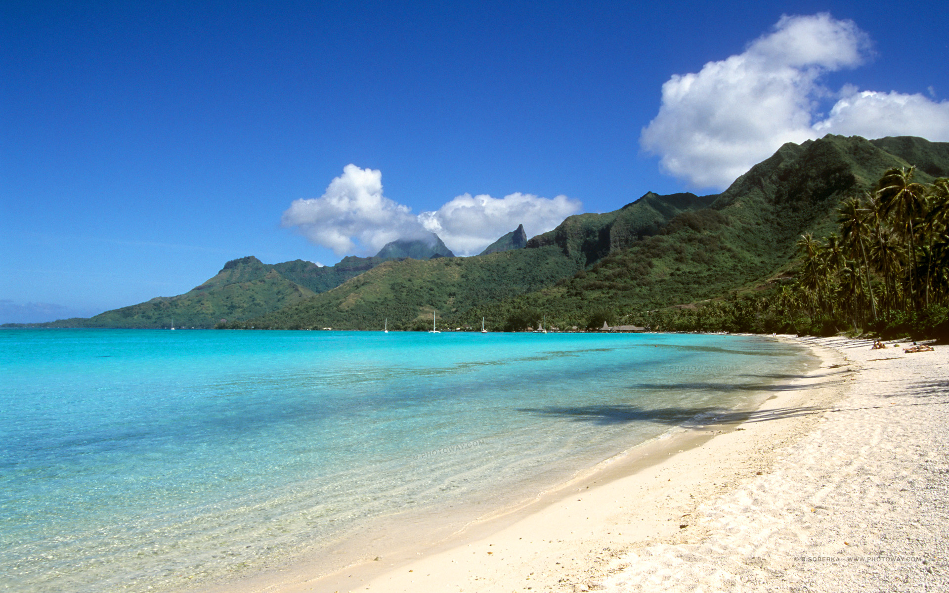 TDM96_1664-plage-moorea