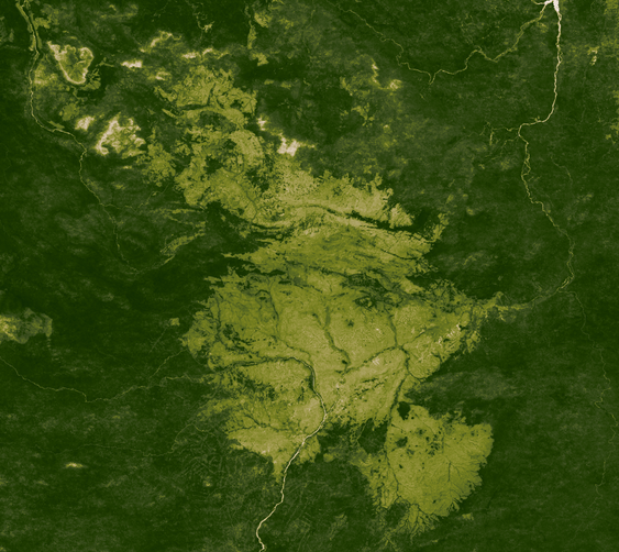 La déforestation de la forêt amazonienne