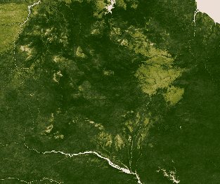 Le nord de la forêt Amazonienne, où on voit bien l'impact de la déforestation.