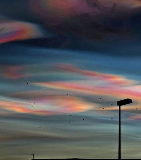 avec-leurs-belles-teintes-pastels-ces-nuages-colores-sont-des-nuages-stratospheriques-polaires_126300_w460