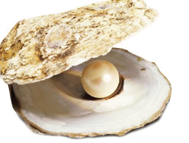 Les huîtres fabriquent-elles des perles naturellement ?