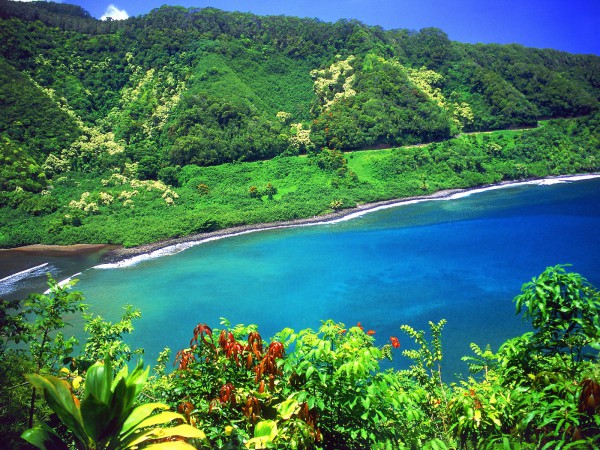 Road-to-Hana-Turquoise-Lagoon-Maui-Hawaii