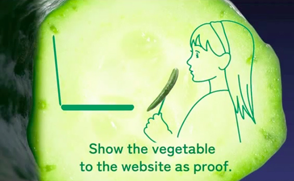 Japon-Ebara-légumes-jeu-online-game-webcam-nourriture-marketing-communication-pub-mdelmas-5