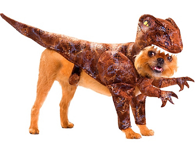 chien dino