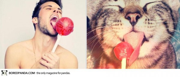 des-hommes-et-des-chatons-men-and-cats-2-1