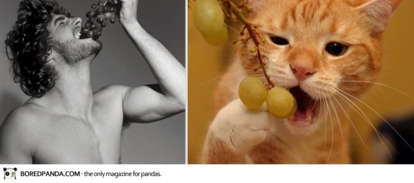 des-hommes-et-des-chatons-men-and-cats-2-12