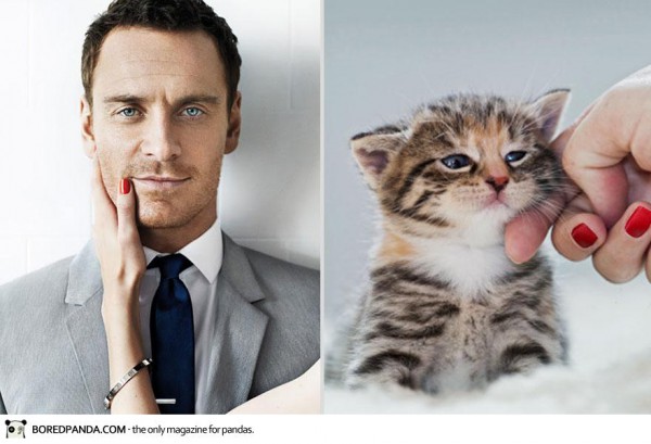 des-hommes-et-des-chatons-men-and-cats-2-17