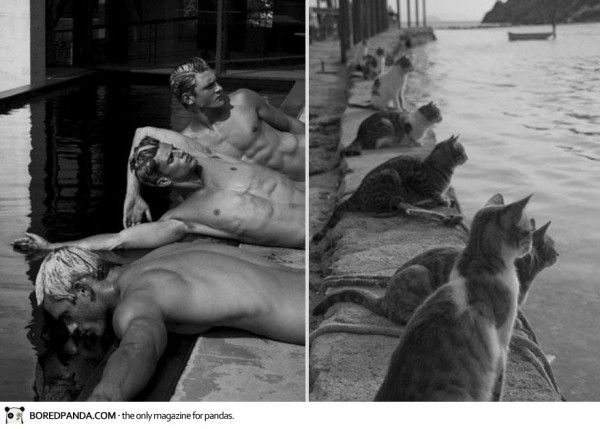 des-hommes-et-des-chatons-men-and-cats-2-18