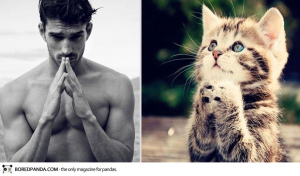 des-hommes-et-des-chatons-men-and-cats-2-32