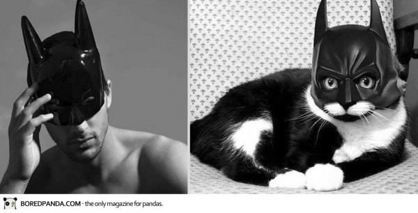 des-hommes-et-des-chatons-men-and-cats-2-6