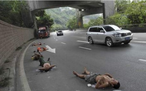 7763373743_ils-font-la-sieste-sur-une-autoroute