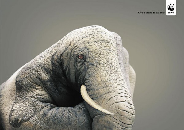 35-affiches-publicitaires-creatives-de-wwf-qui-vous-donneront-envie-de-vous-battre-pour-la-survie-de-la-planete9