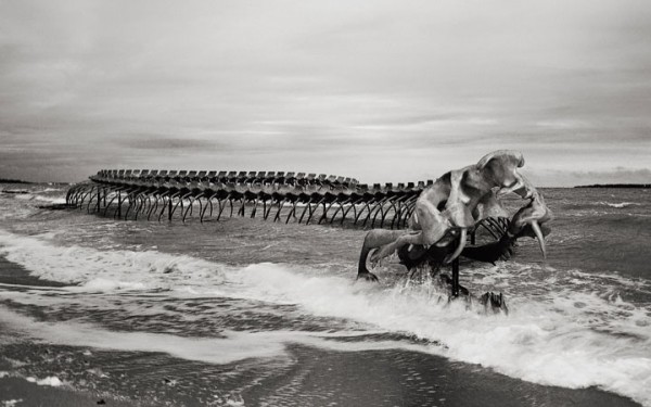 un-terrifiant-squelette-de-serpent-en-aluminium-git-sur-les-plages-de-la-loire10