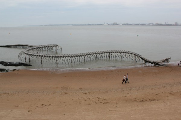 un-terrifiant-squelette-de-serpent-en-aluminium-git-sur-les-plages-de-la-loire12