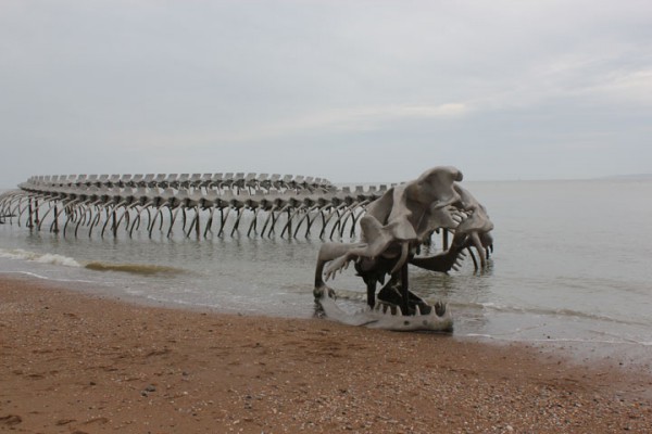 un-terrifiant-squelette-de-serpent-en-aluminium-git-sur-les-plages-de-la-loire13