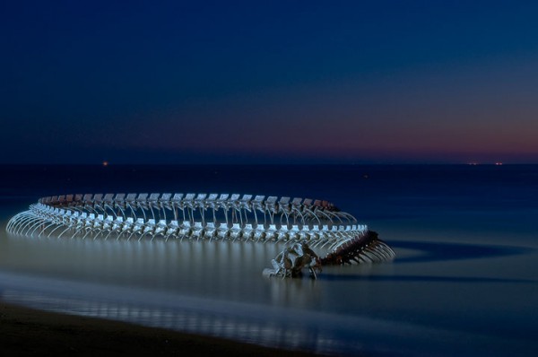 un-terrifiant-squelette-de-serpent-en-aluminium-git-sur-les-plages-de-la-loire14