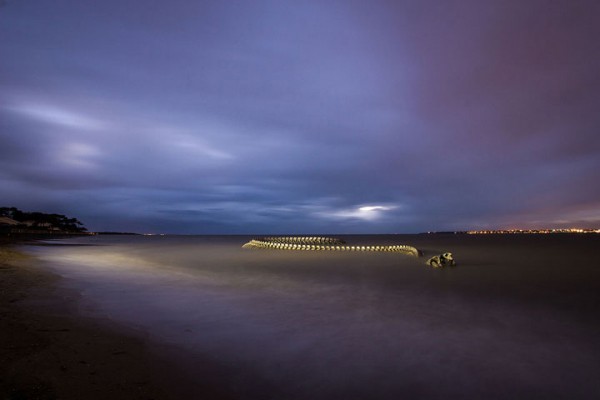 un-terrifiant-squelette-de-serpent-en-aluminium-git-sur-les-plages-de-la-loire4