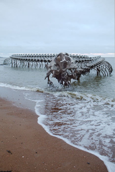 un-terrifiant-squelette-de-serpent-en-aluminium-git-sur-les-plages-de-la-loire6