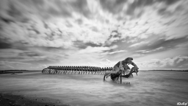 un-terrifiant-squelette-de-serpent-en-aluminium-git-sur-les-plages-de-la-loire8