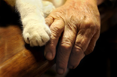 21-Chat-Fukumaru-et-Misao-la-Grand-Mere