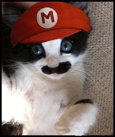 chat-mario