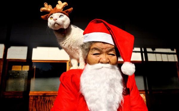 merry-christmas-misao-the-big-mama-as-father-christmas-and-f