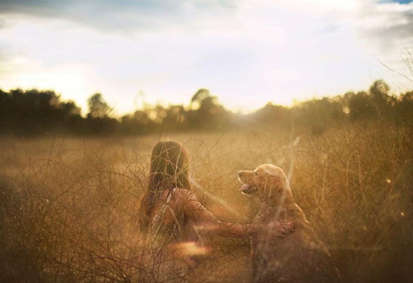 dog-photography-chuppy-golden-retriever-jessica-trinh-2