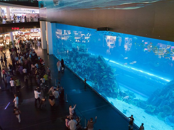 the-aquarium-in-the-mall-is-home-to-more-than-33000-marine-animals-and-the-massive-viewing-panel-holds-the-guinness-world-record-for-largest-acrylic-panel