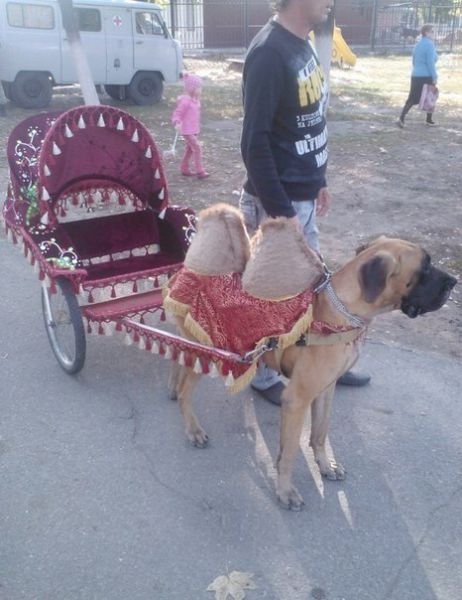 acid_picdump_68