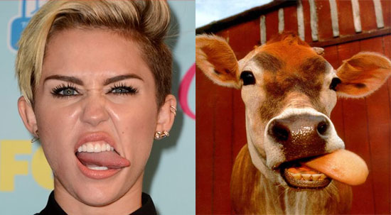 frightenly-similar-miley-cyrus-doppelgangers-wildammo-11