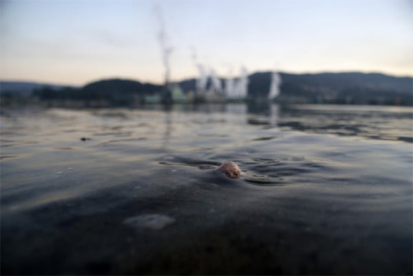 isaac-cordal-14