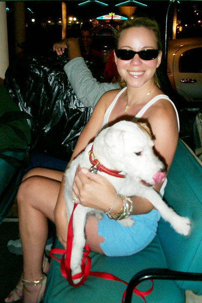 mariah-carey-with-her-dog-in-st-maartenblog-hotel-Jeu-De-Paume-paris