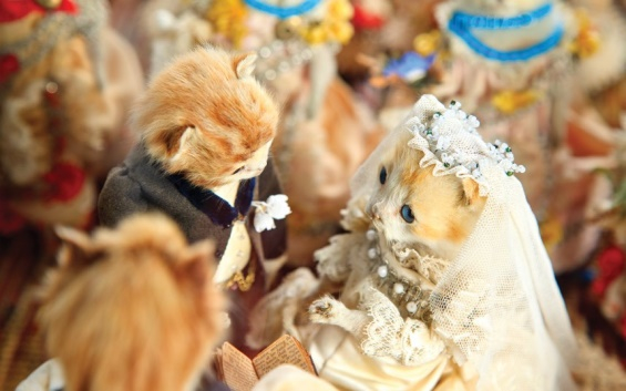 Victorian-Taxidermy-06