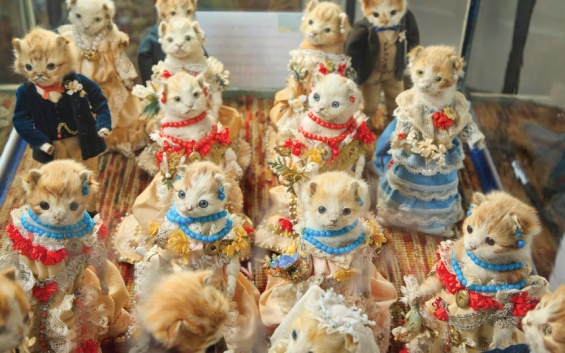 Victorian-Taxidermy-07