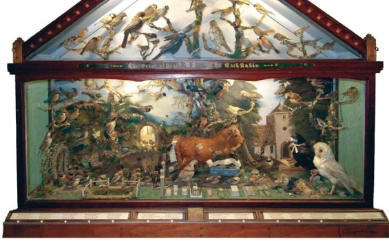 Victorian-Taxidermy-13