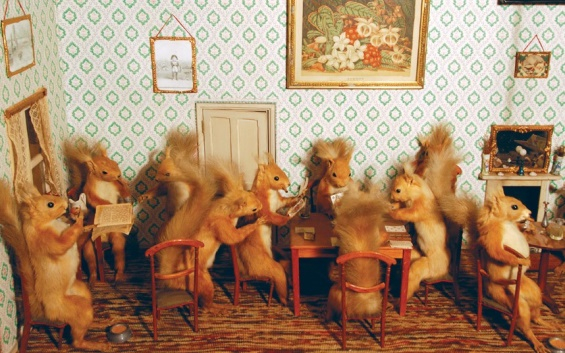 Victorian-Taxidermy-14