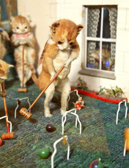 Victorian-Taxidermy-15
