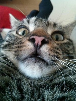 chat-selfie