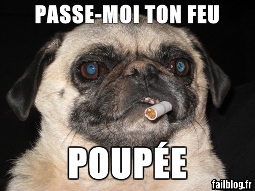 fail-Smoker-dog-Passe-moi-ton-feu-poupee