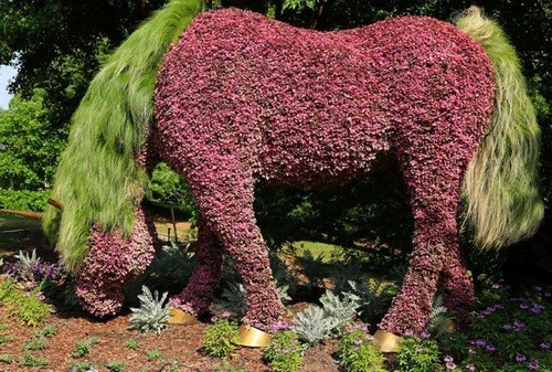 plant-sculptures-imaginary-worlds-atlanta-botanical-garden-10-659x444