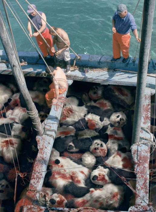 "Quand vous voyez un thon, pensez à un panda" par Sea Shepherd Conservation Society