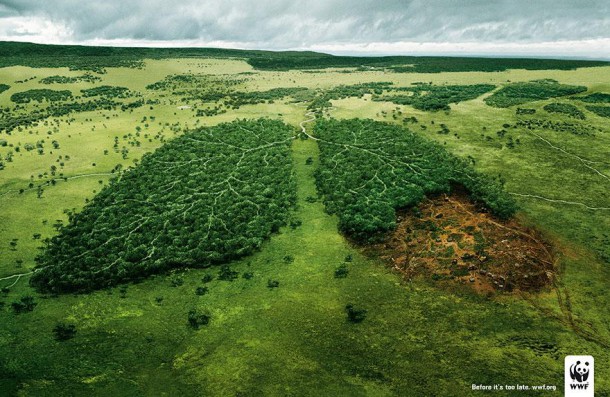 "Avant qu'il ne soit trop tard" par WWF