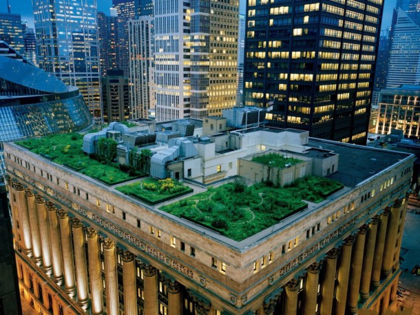 Jardins sur un toit, Chicago, Etats-Unis