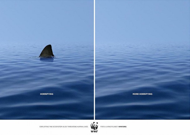 "Terrifiant" "Plus terrfiant" par WWF