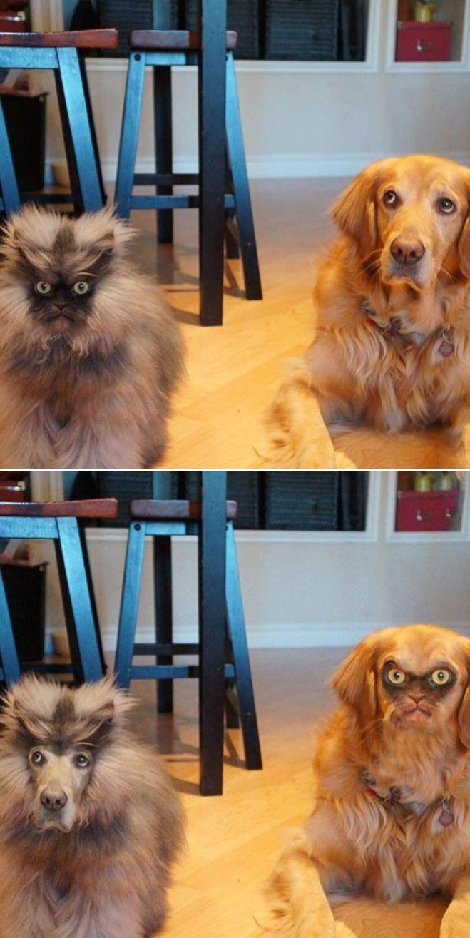 face-swap15-659x1315